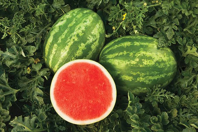 Watermelon Image